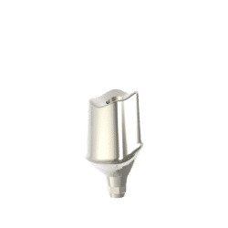 BioSmile Custom Abutment Titane & Chrome cobalt (incl 2 Vis prothétiques)