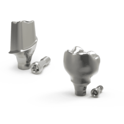 BioSmile Custom Abutment Titane & Chrome cobalt